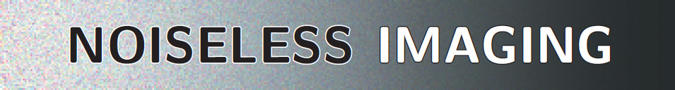 Noiseless Imaging logo